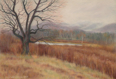 "November at the Glen"